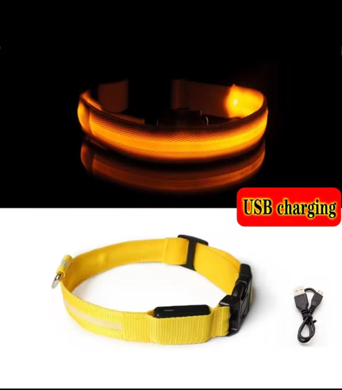 Light up collar