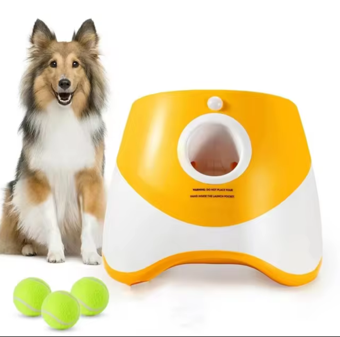 Ball launcher
