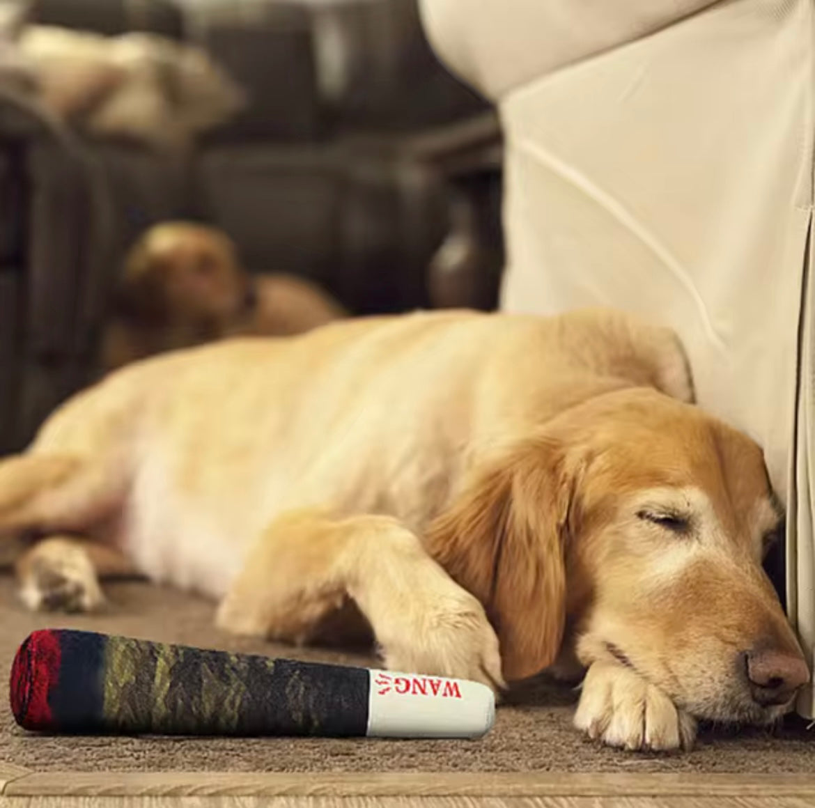 Joint dog toy