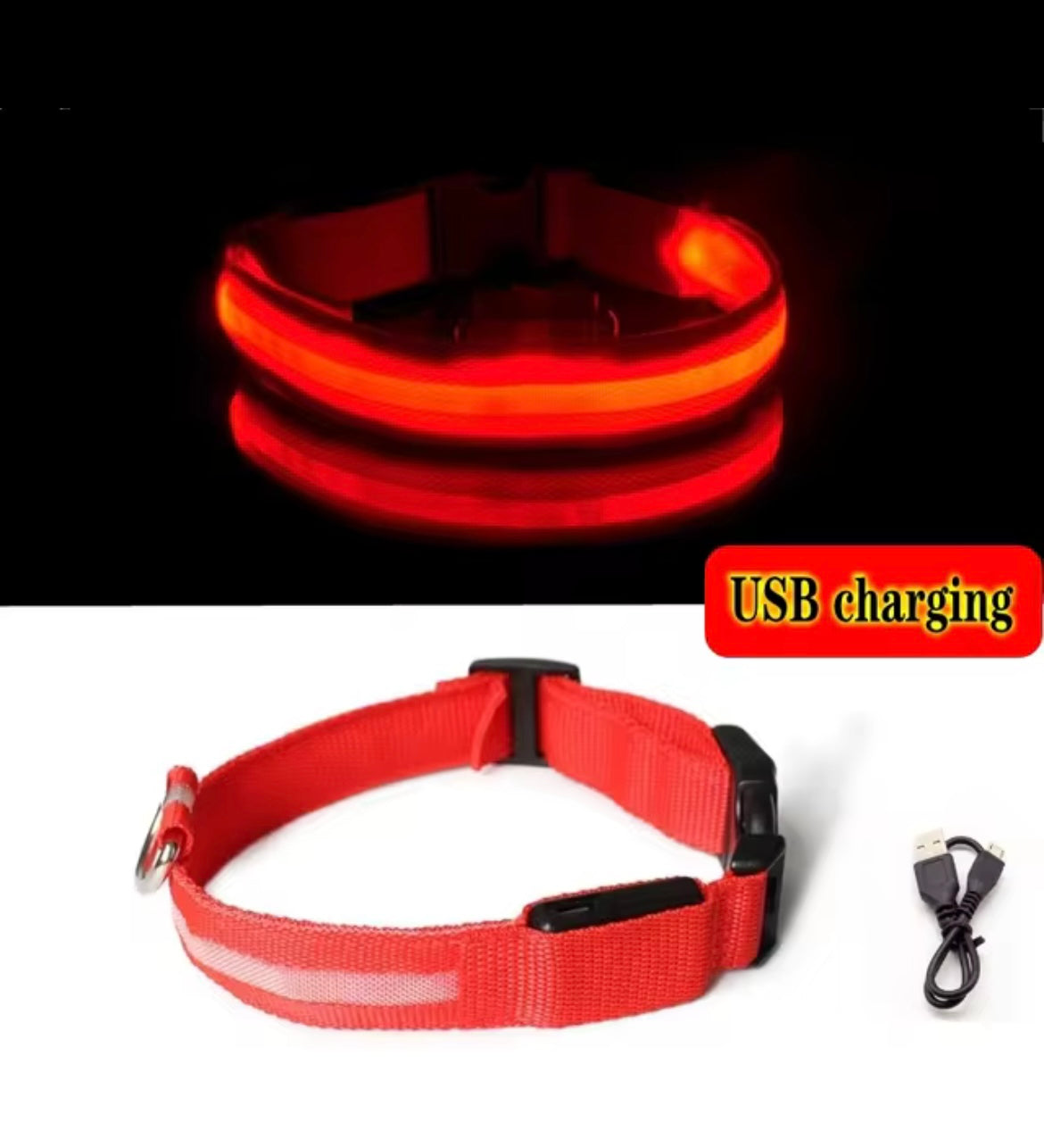 Light up collar