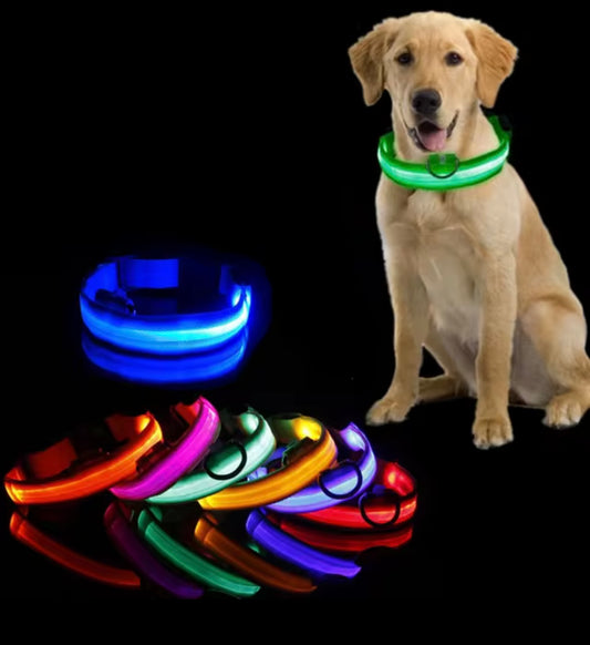 Light up collar
