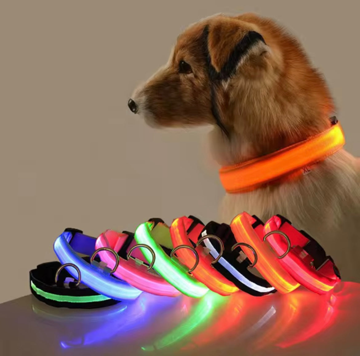 Light up collar