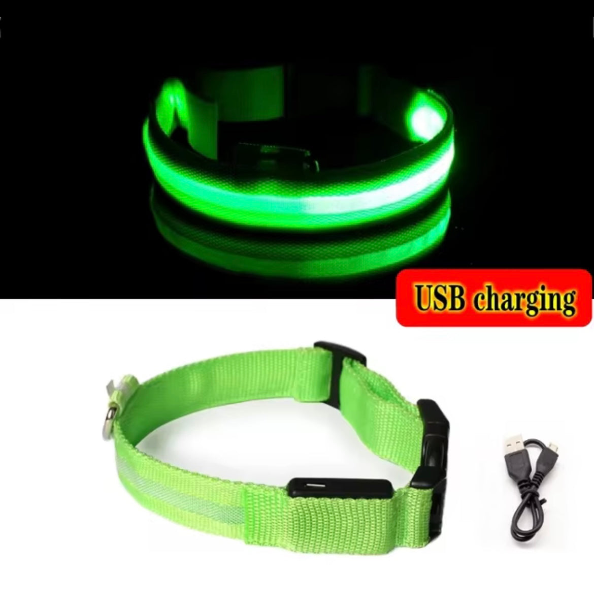 Light up collar
