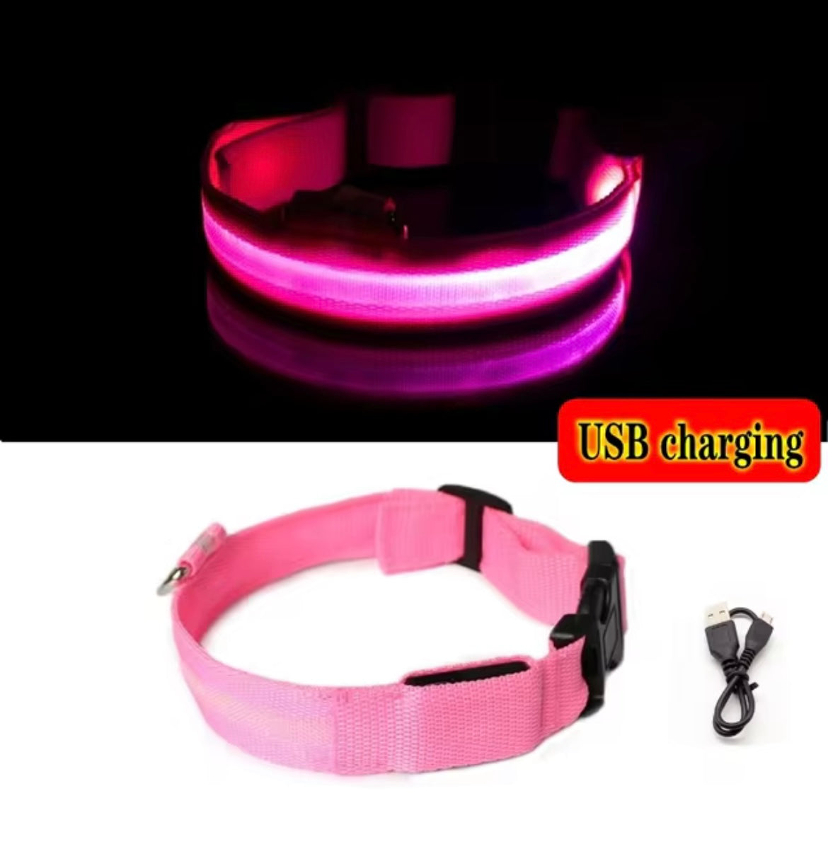 Light up collar