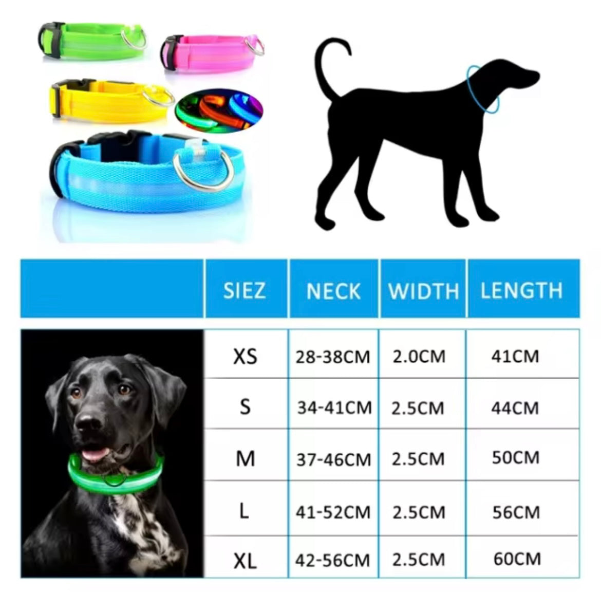 Light up collar
