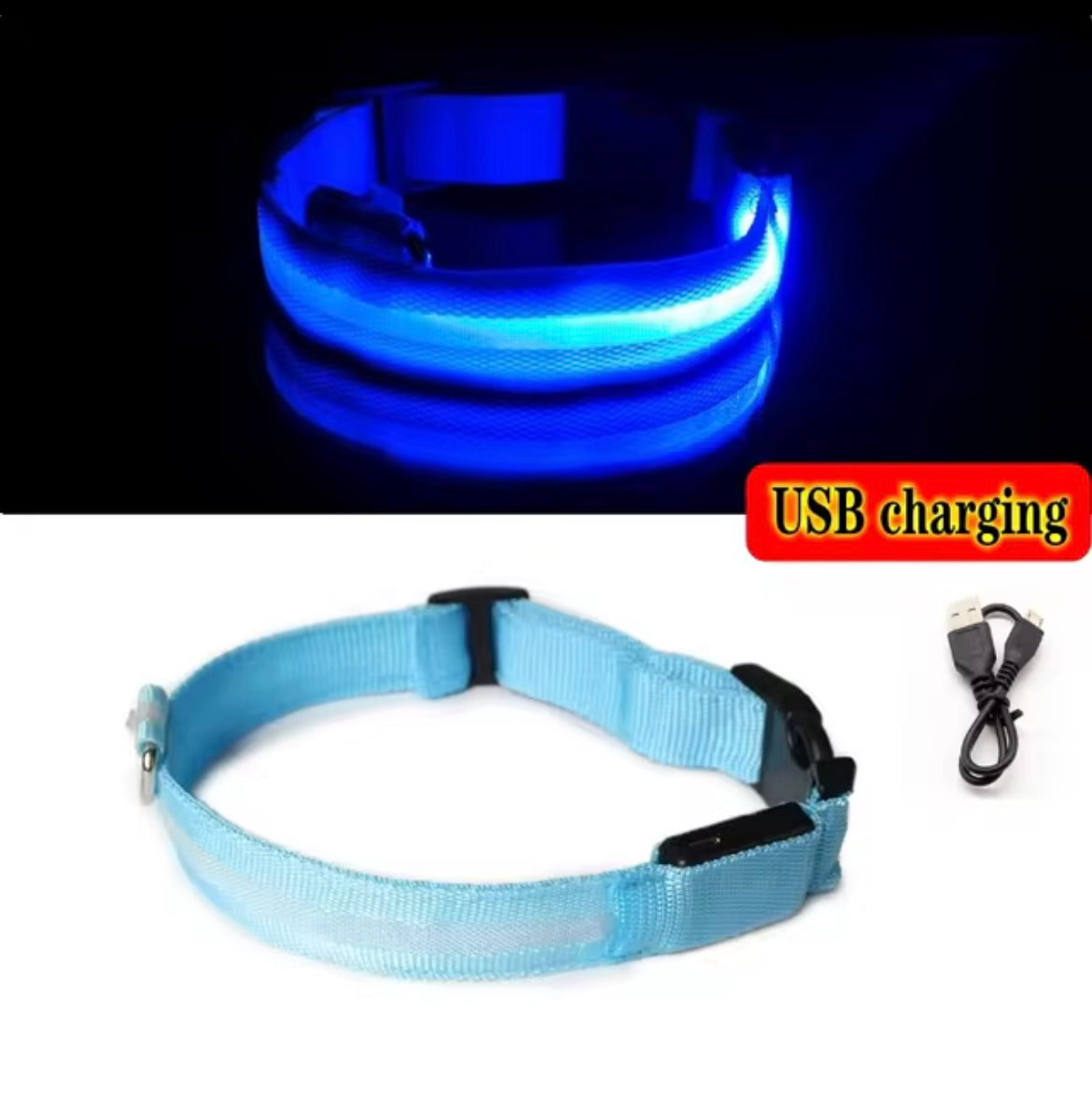 Light up collar